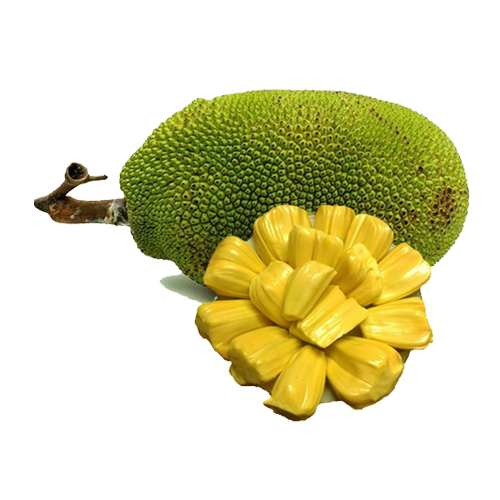 Jackfruit 9kg or less 4kg market goods of type 2